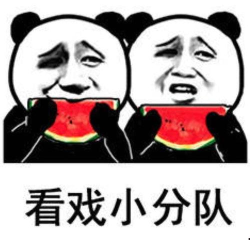 吃瓜娱乐照片